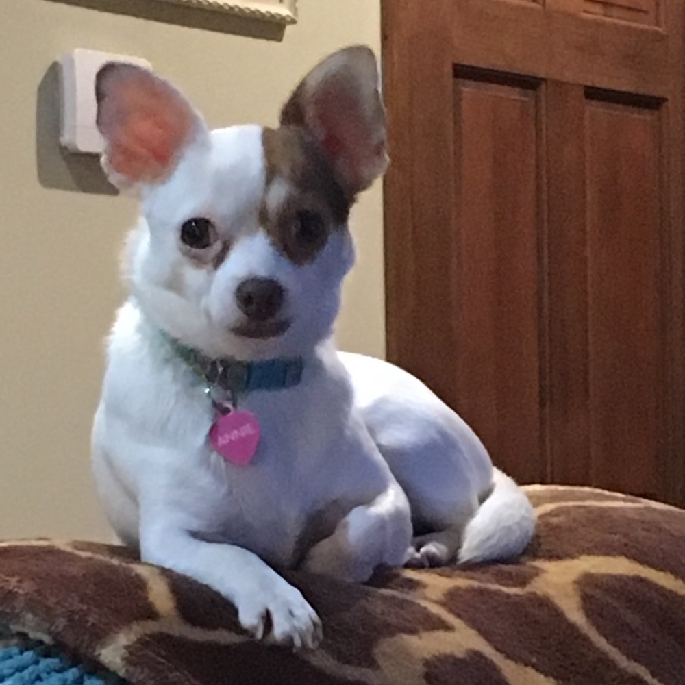 Meet your Posher, Lori